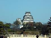 himezizyou